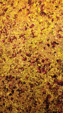 Load image into Gallery viewer, Classic Granola made with rose petals and pista along with dry fruits and oats